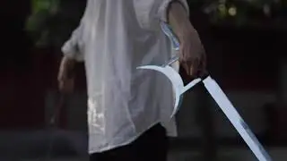 martial arts demonstration tiger hook swords form