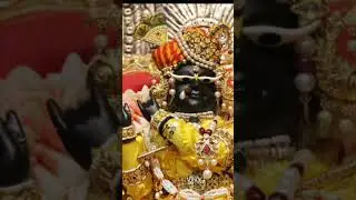 Sri Radha RamanJi@ Vrindavan...Sringar darshan#01Oct.2025||shorts