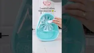 Amazon Essential Must Haves
