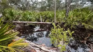 Exploring 