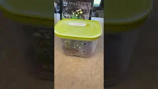 What is a Fridge Smart?