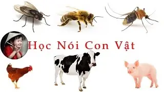 Bé học tên các loài vật qua hình ảnh tiếng kêu - phần 01
