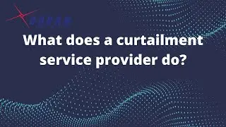 What does a curtailment service provider (CSP) do?