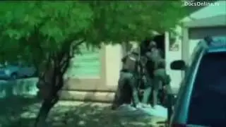 SWAT team raids: Victims of the war on drugs