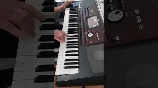 والله لعمرلك قصر حيطانو من عاج (وسام مرهج)🎶🔥.