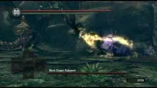Artorias vs Kalameet