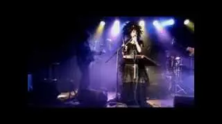 The Violet Steam Experience live 2014 (Steampunk Music)