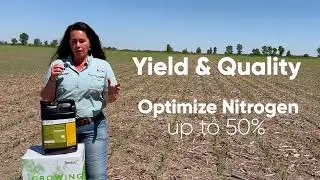 RDX-N at Sidedress