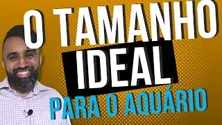 Os Melhores Tamanhos de Aquários Para Aquapaisagismo | Ep 02