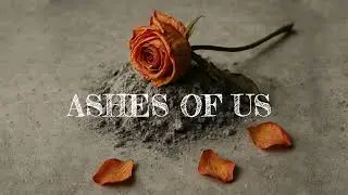 Ashes of us