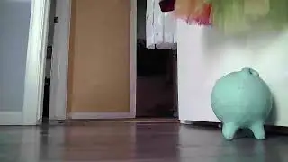 Trifo Lucy Pet Robotic Vacuum On Board Camera Demonstration