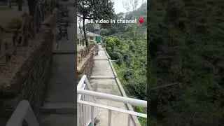 Best resort in Valparai &hearts;️