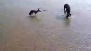 Barkleigh Paddling