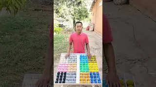Game Challenge Sort Color Ball Puzzle#game #challenge #sortvideo #puzzle