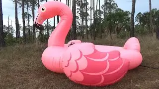Mega Flamingo Inflatable Island from Intex