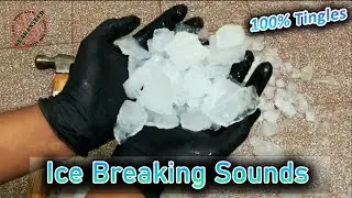 Freezer Ice breaking ASMR Sounds for Relaxing-More Tingles |Ice Cubes Crushing Tingles