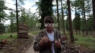 ST WOODS -  All These Places We've Gone Are Frames of Our Dreams