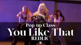 REDLIC POP-UP CLASS | Chris Brown - You Like That | @justjerkacademy ewha