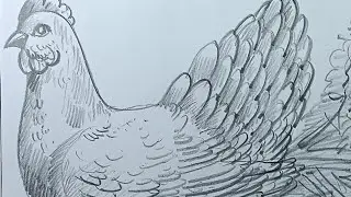 Hen drawing in pencil shade Artist Pradip Pal Tutorial 🩷Suryadeep art gallary.