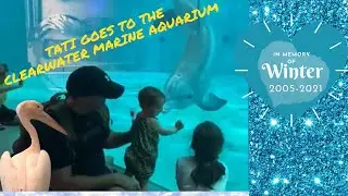 Tati Finds Hope At The Clearwater Marine Aquarium & In Memory of Winter The Dolphin of Dolphin Tales