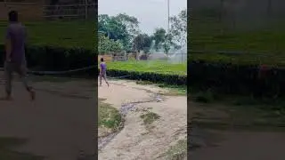 Sprinkler #teagarden  #shorts #shortsfeedkoel