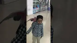 pet shop at abudhabi