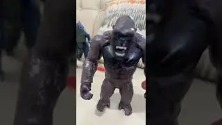 King Kong x Godzilla sporiler #godzilla #kingkong #memes #monkey