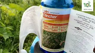 धान का खतपतवार नाशक।Paddy Herbicide।Dov Clincher 10ec