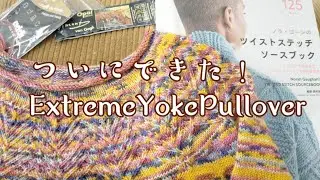 【ウエア大物に挑戦✨】ボトムアップ↑ゴッホ🧶で編む柄編みセーター😍