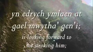Nos Da, Mam - Steve Eaves (geiriau / lyrics)