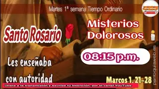 Santo Rosario en vivo hoy, martes 13 de enero de 2026: M. Dolorosos. Bienvenidos.