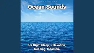 Sea Noises Nature Sounds at Home