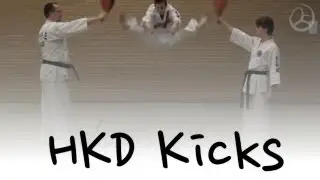 Chongmukwan kicks (정무관 발차기)