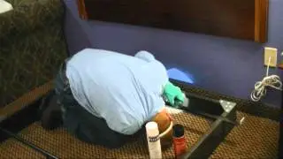 ePest Solutions: Bed Bug Treatment (Bed Frame)