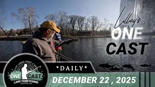 Lilley's One Cast, December 22