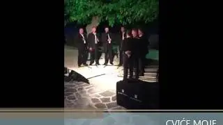 Klapa Pharia - Cviće moje // Murtilica, lipo cviće