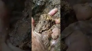 Penemuan batu akik pancawarna