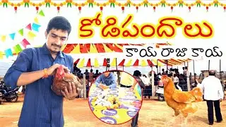 కోడిపందాలు,చిన్నబజారు పెదబజారు#kodipandalu#konaseema#godavari#apnews#viral#viralvideo#video#trending