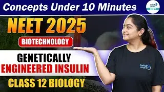 Genetically Engineered Insulin: Biotechnology and its Applications | NEET 2025 | Class 12 Biology