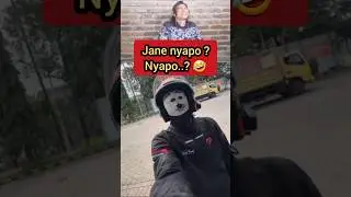 nyapo jane nyapo🤭 #reaction #lucu #meme #ngakak #funny #fyp