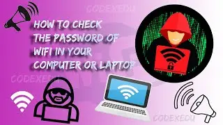 How To Check Wifi Password In Your Computer Or Laptop | WiFi Ka Password Kaise Pta Kare | Codex Edu