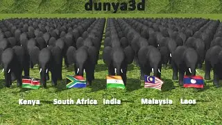 Elephant Population by Country 2024 @gravityuz
