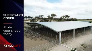 Expansive Sheep Yard Cover