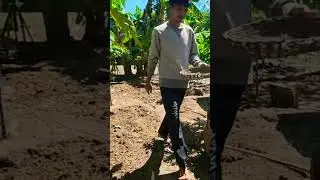 Farm garden #village #shorts #hut for duck #bamboohouses