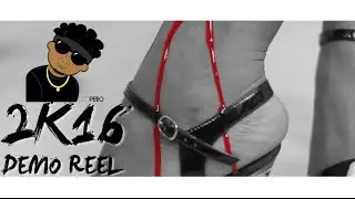 Director C.E.O. PE$O 2k16 *DEMO REEL*