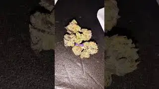 smoking on purple #purp #lilboosie #foryou