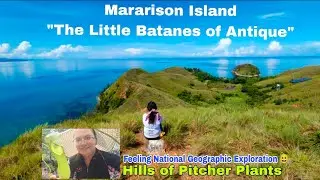 Explore MARARISON ISLAND | The 