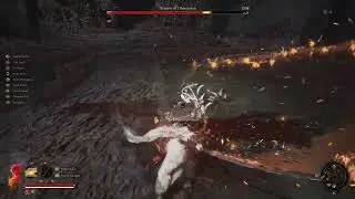 Wuchang  Fallen Feathers Demon of Obsession (longsword build)