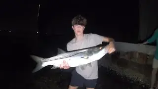 Under the bridge!! Let's catch some Snook! East coast Fishing.