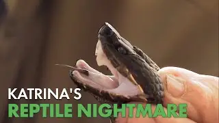 Python Hunters Investigate Katrina Flood Zones | Python Hunters